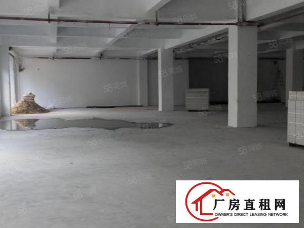  长安靠深圳新安大桥新出独院一楼1300平起分，用电大价格优