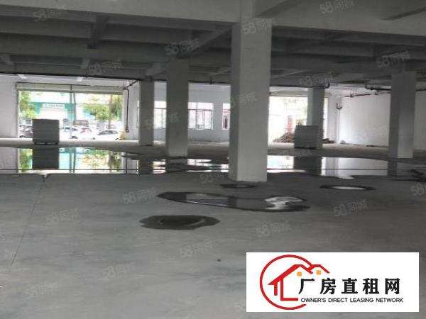  长安靠深圳新安大桥新出独院一楼1300平起分，用电大价格优