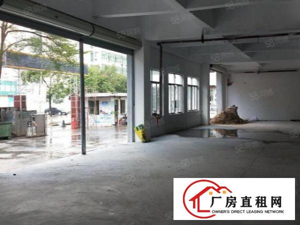  长安靠深圳新安大桥新出独院一楼1300平起分，用电大价格优
