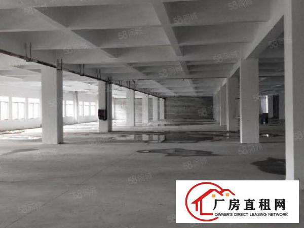  长安靠深圳新安大桥新出独院一楼1300平起分，用电大价格优