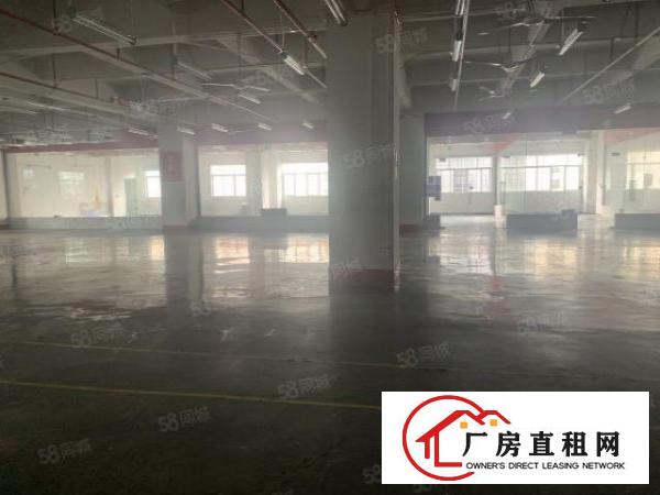  长安乌沙步步高大道附近新空出楼上带精装修厂房2600平方。