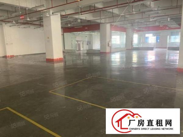  长安乌沙步步高大道附近新空出楼上带精装修厂房2600平方。