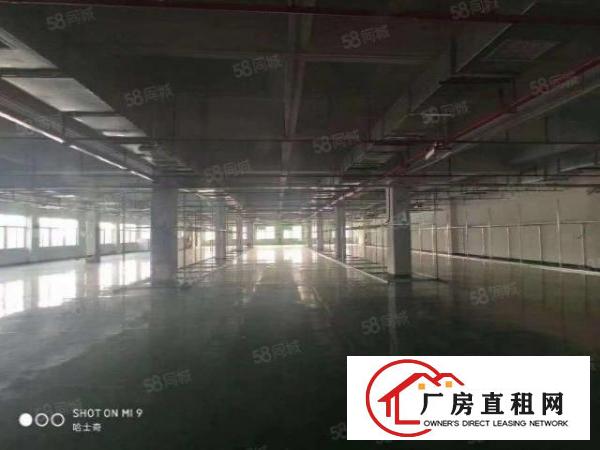  靓厂房急租长安乌沙现成带装修水电到位0成本入驻独院厂房
