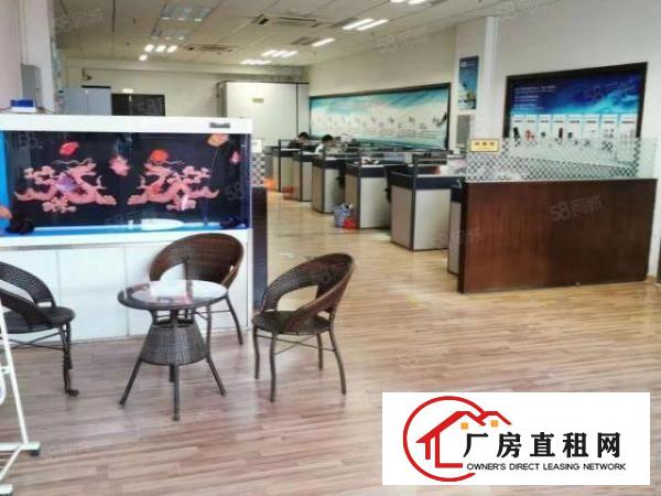  靓厂房急租长安乌沙现成带装修水电到位0成本入驻独院厂房