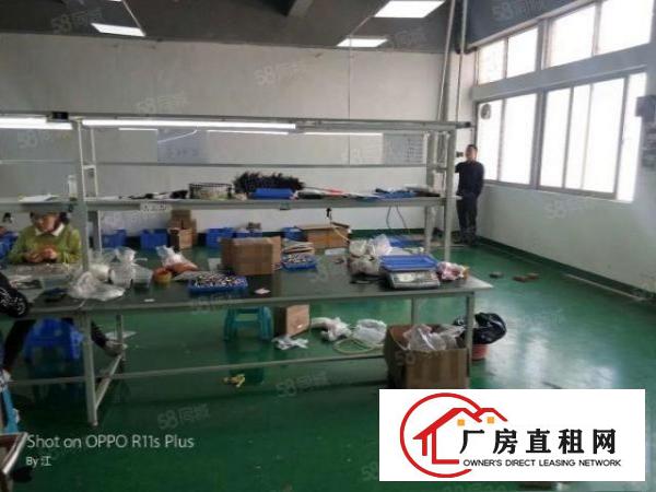  锦厦河南工业区新出楼上550平豪华装修厂房出租
