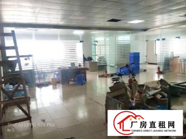  锦厦河南工业区新出楼上550平豪华装修厂房出租