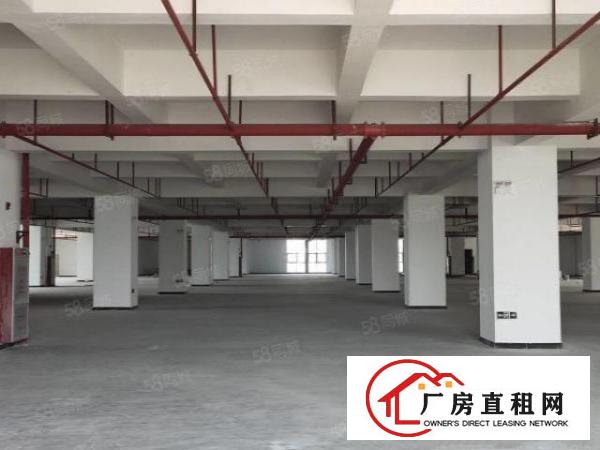  长安镇高薪技术产业园，联手中科院下属企业，助力企业成长