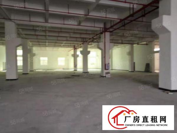  锦厦河西路附近新出楼上500平带装修厂房出租