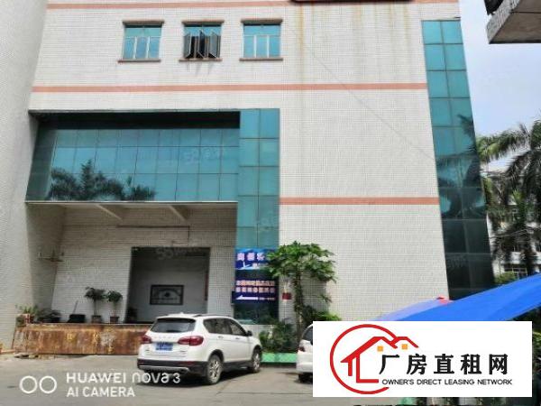  沙头雅正小学附近一楼800平25元出租（带装修）