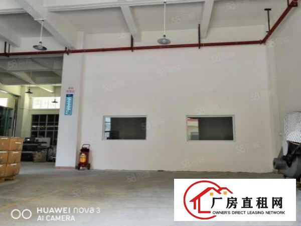  沙头雅正小学附近一楼800平25元出租（带装修）