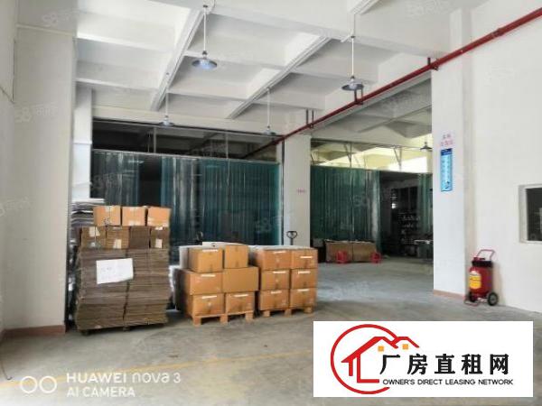  沙头雅正小学附近一楼800平25元出租（带装修）