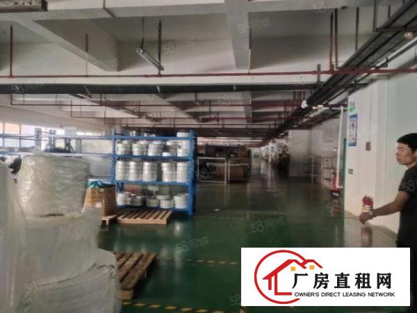  无尘车间长安沙头2楼出租2500平方，靠近轻轨方便，水电到位