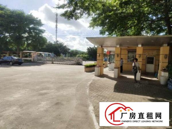  无尘车间长安沙头2楼出租2500平方，靠近轻轨方便，水电到位