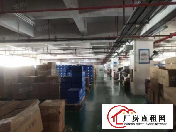  无尘车间长安沙头2楼出租2500平方，靠近轻轨方便，水电到位