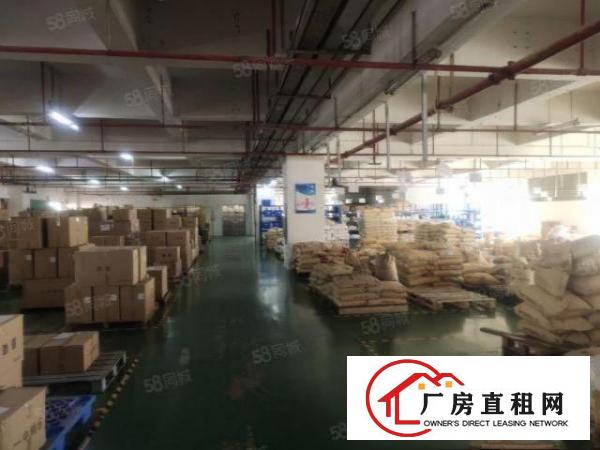  无尘车间长安沙头2楼出租2500平方，靠近轻轨方便，水电到位