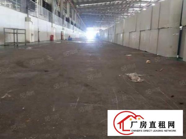  长安新出砖墙到顶12米高单一层花园式独院。三证齐全