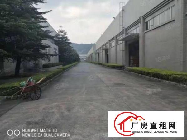  长安新出砖墙到顶12米高单一层花园式独院。三证齐全