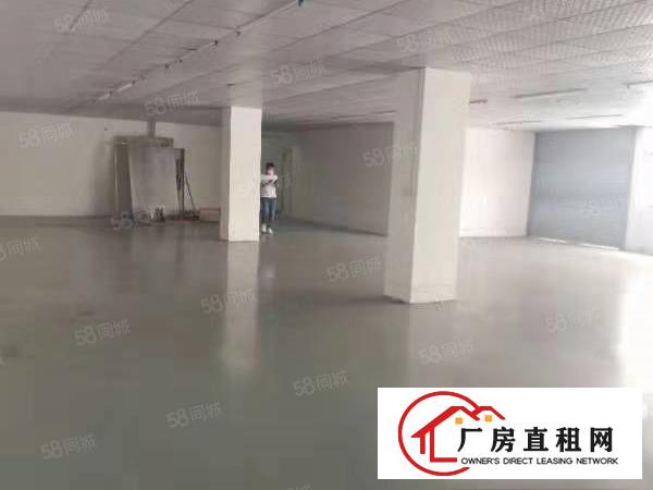  长安上沙新出楼上500平洁净车间