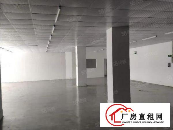  长安上沙新出楼上500平洁净车间