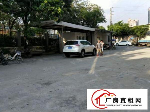  长安厂房出租街口新出一楼300平米水电齐全精装修