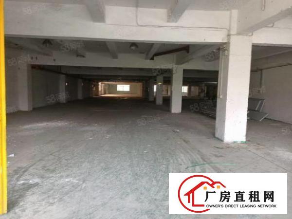  长安沙头新出厂房，大小可分租实际面积出租。厂区空地大停车方便