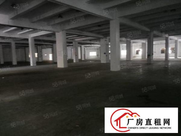  长安沙头新出厂房，大小可分租实际面积出租。厂区空地大停车方便