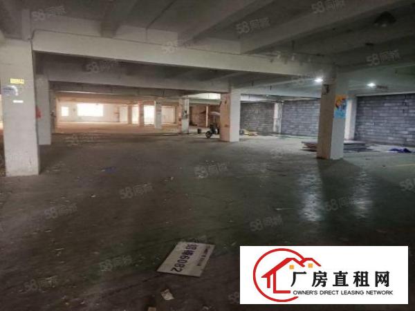  长安沙头新出厂房，大小可分租实际面积出租。厂区空地大停车方便