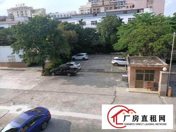  长安沙头新出厂房，大小可分租实际面积出租。厂区空地大停车方便