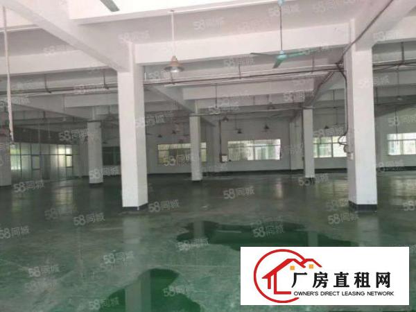 出租|长安标准厂房800原房东无尘车间