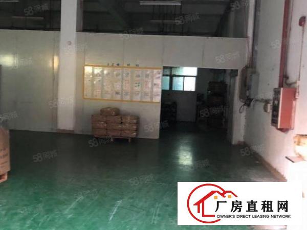  出租|长安标准厂房800原房东无尘车间