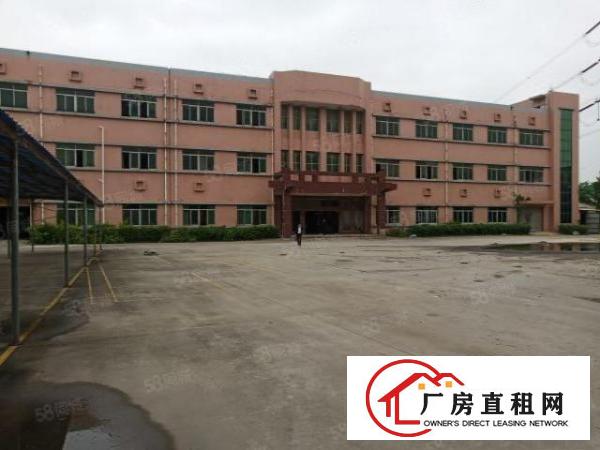  长安镇新民超大空地独院1到3楼6500平方火爆招租无公摊
