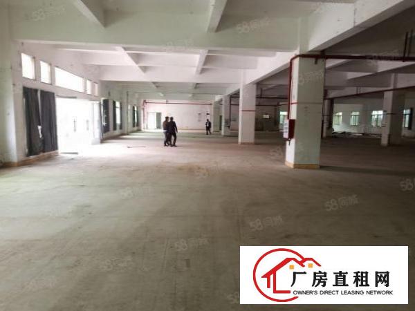  长安镇新民超大空地独院1到3楼6500平方火爆招租无公摊