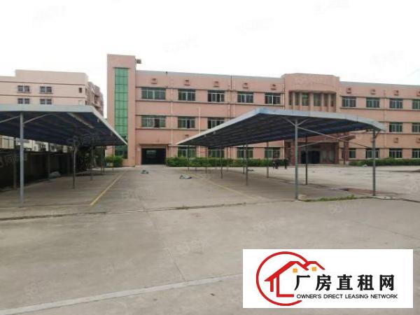  长安镇新民超大空地独院1到3楼6500平方火爆招租无公摊