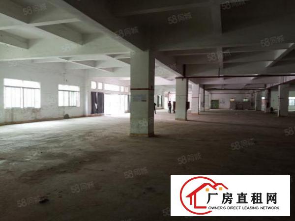  长安镇新民超大空地独院1到3楼6500平方火爆招租无公摊