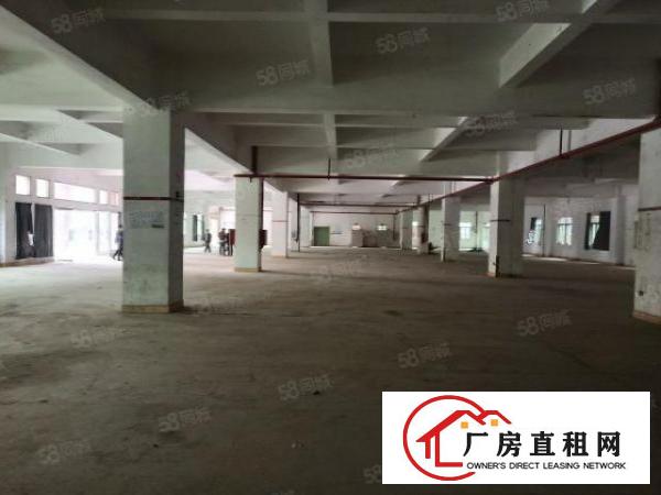  长安镇新民超大空地独院1到3楼6500平方火爆招租无公摊