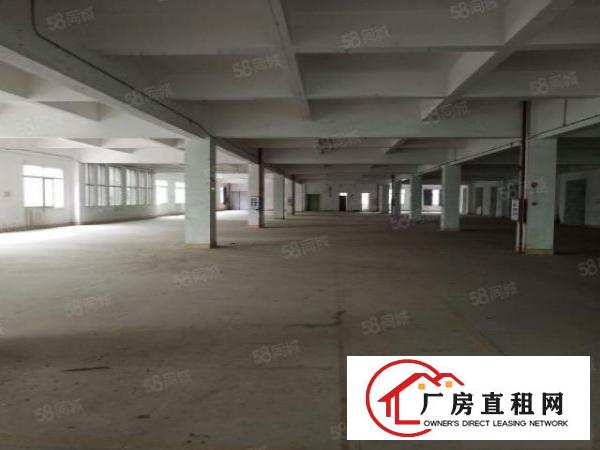  长安镇新民超大空地独院1到3楼6500平方火爆招租无公摊