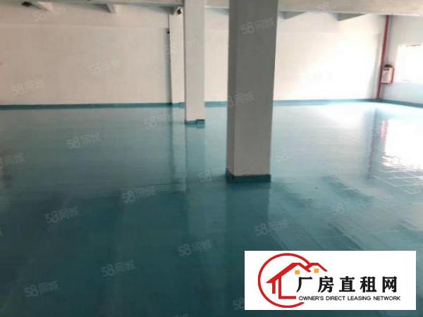  沙头新出独门独院厂房分租