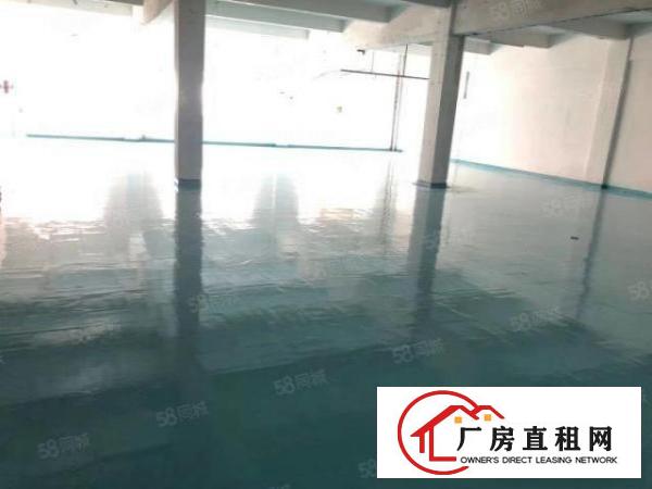  沙头新出独门独院厂房分租