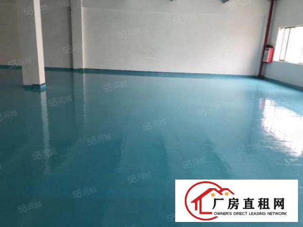  沙头新出独门独院厂房分租