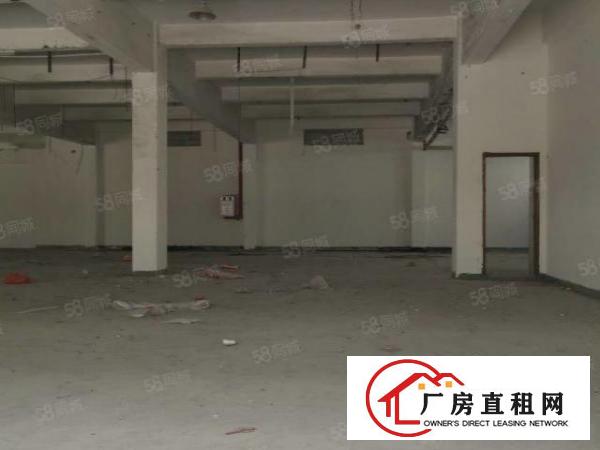  沙头新出独门独院厂房分租