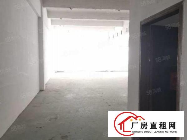  沙头新出独门独院厂房分租
