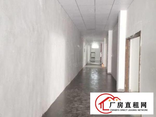  沙头新出独门独院厂房分租