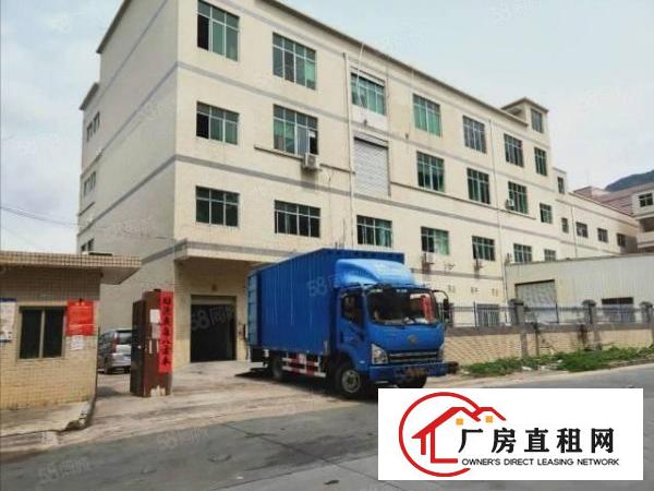  长安镇厦边出租楼上300平厂房有现成办公室精装修可分租