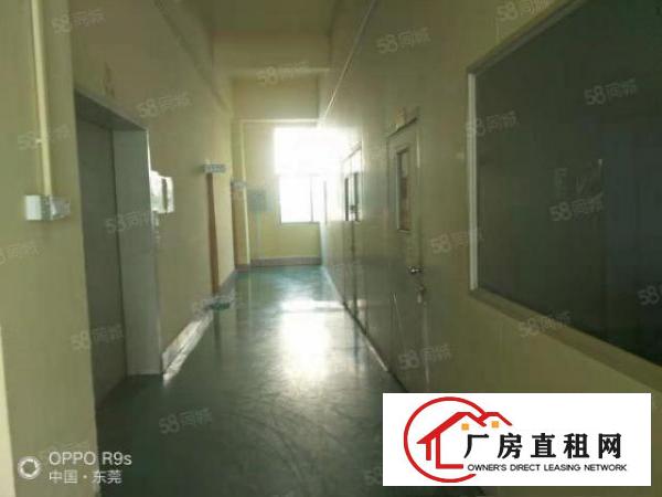  乌沙原房东新出经典独院1500平厂房出租全新地坪漆价格优惠