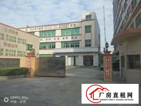  乌沙原房东新出经典独院1500平厂房出租全新地坪漆价格优惠