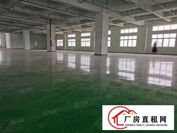  乌沙社区全新厂房大小可分租水电齐全消防到位原房东厂房