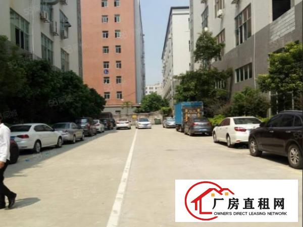  长安镇工业园原房东出租800平厂房形象好价格实惠