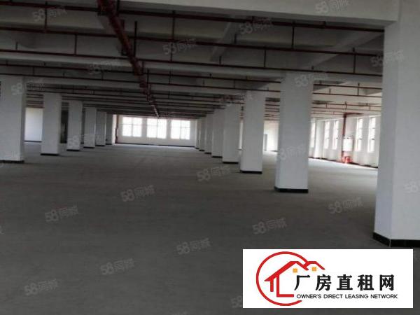  长安镇全新花园式厂房独栋单层3600平，秒过环评