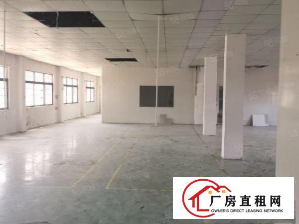  长安新出4300平方原房东独门独院厂房招租