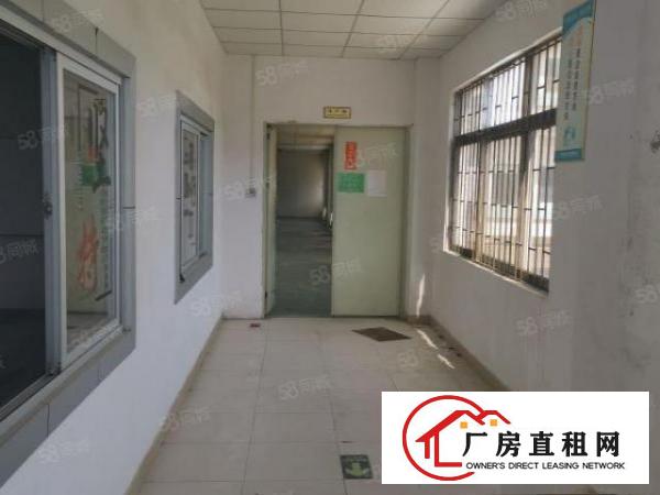  长安新出4300平方原房东独门独院厂房招租